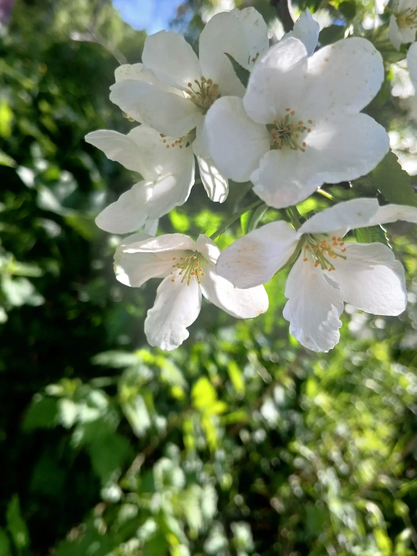 Красота Красноярского края🌸