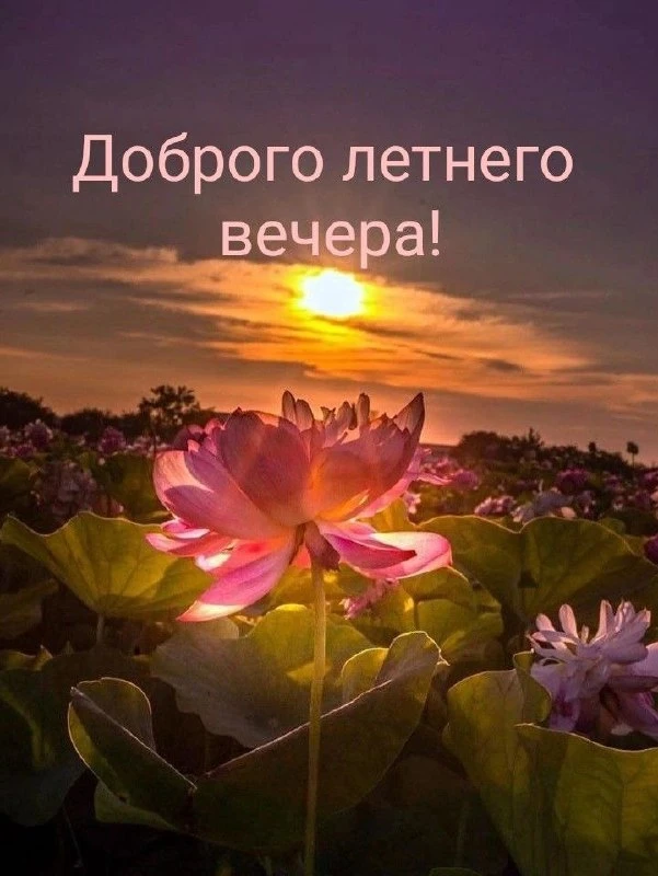 Доброго летнего вечера, дорогие! 🙏

Пусть уходящий день оставит в сердце только доброе, а Господь п