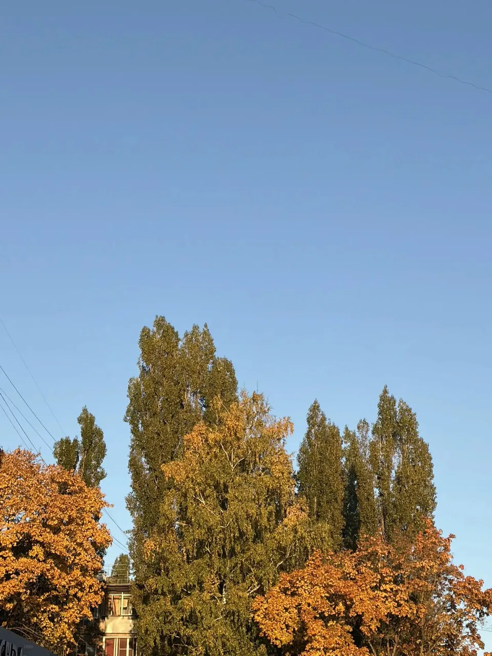 **🍂 Погода 8 октября: комфортный четверг**