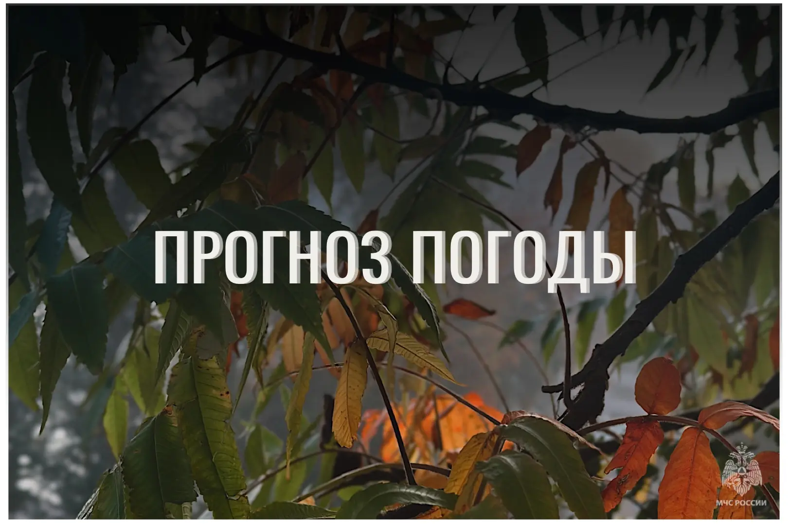 ⛅По данным ЦГМС, 29 сентября в регионе прогнозируется переменная облачность.