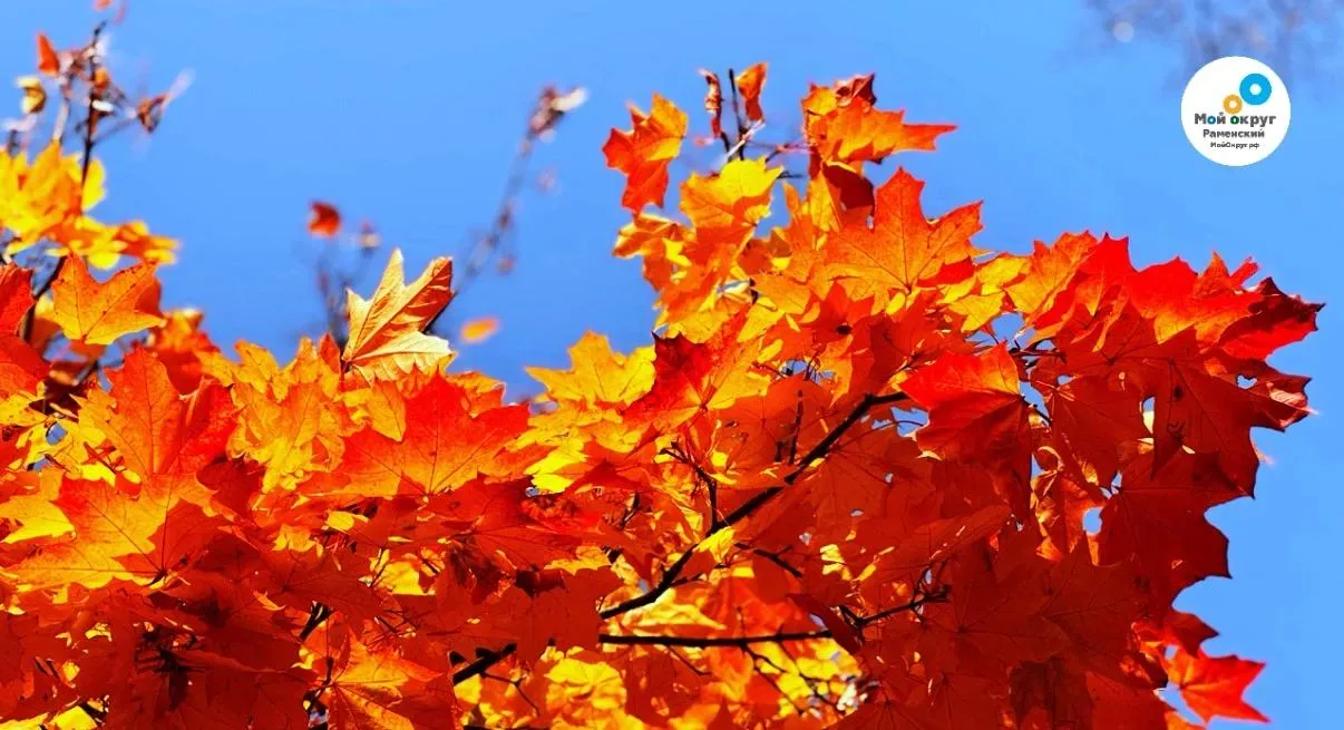 ☕️ 🍁 Доброе утро, октябрь! Прощаемся с бабьим летом и встречаем тепло дома