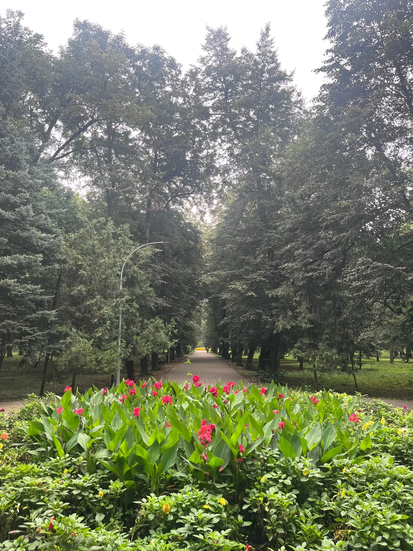 В Кабардино-Балкарии облачно с прояснениями. Местами кратковременный дождь, грозы. Вете...