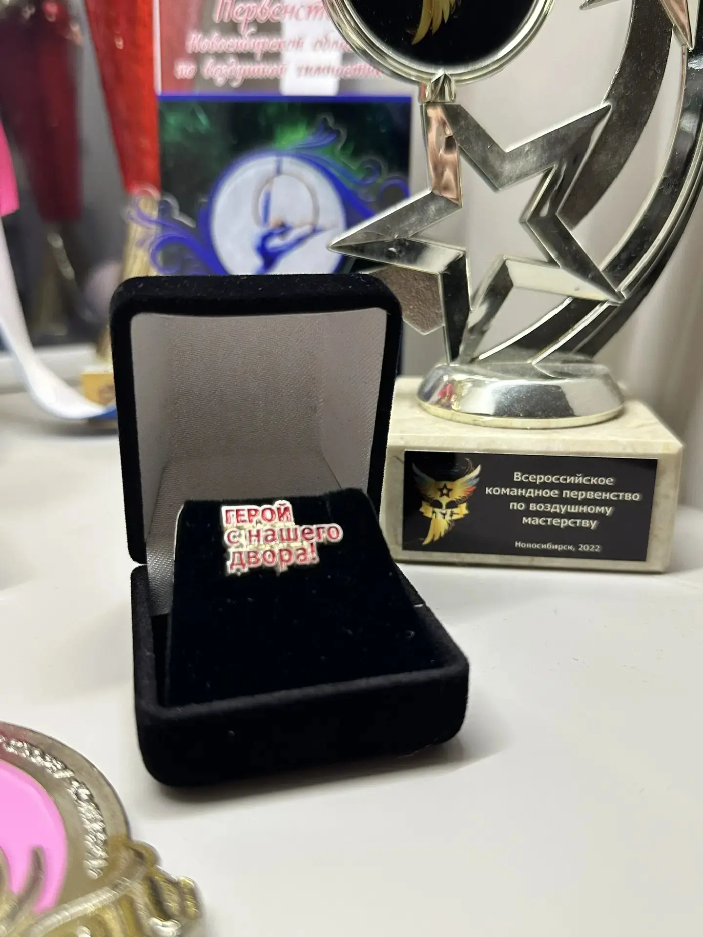 🏆ГОРДОСТЬ ГИМНАЗИИ✨  2 мая в Новосибирске прошёл Чемпионат и Первенство города по воздушной гимнасти