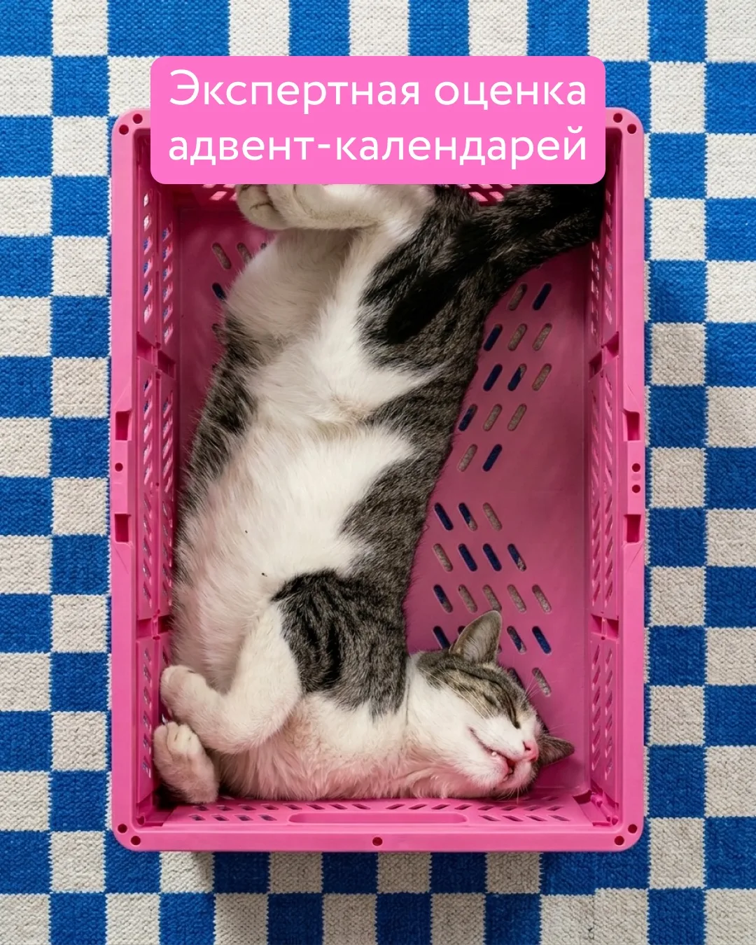 Это знак качества!  Эксперты (на карточках) говорят, что наши адвент-календари — 100 из 100. Но корз