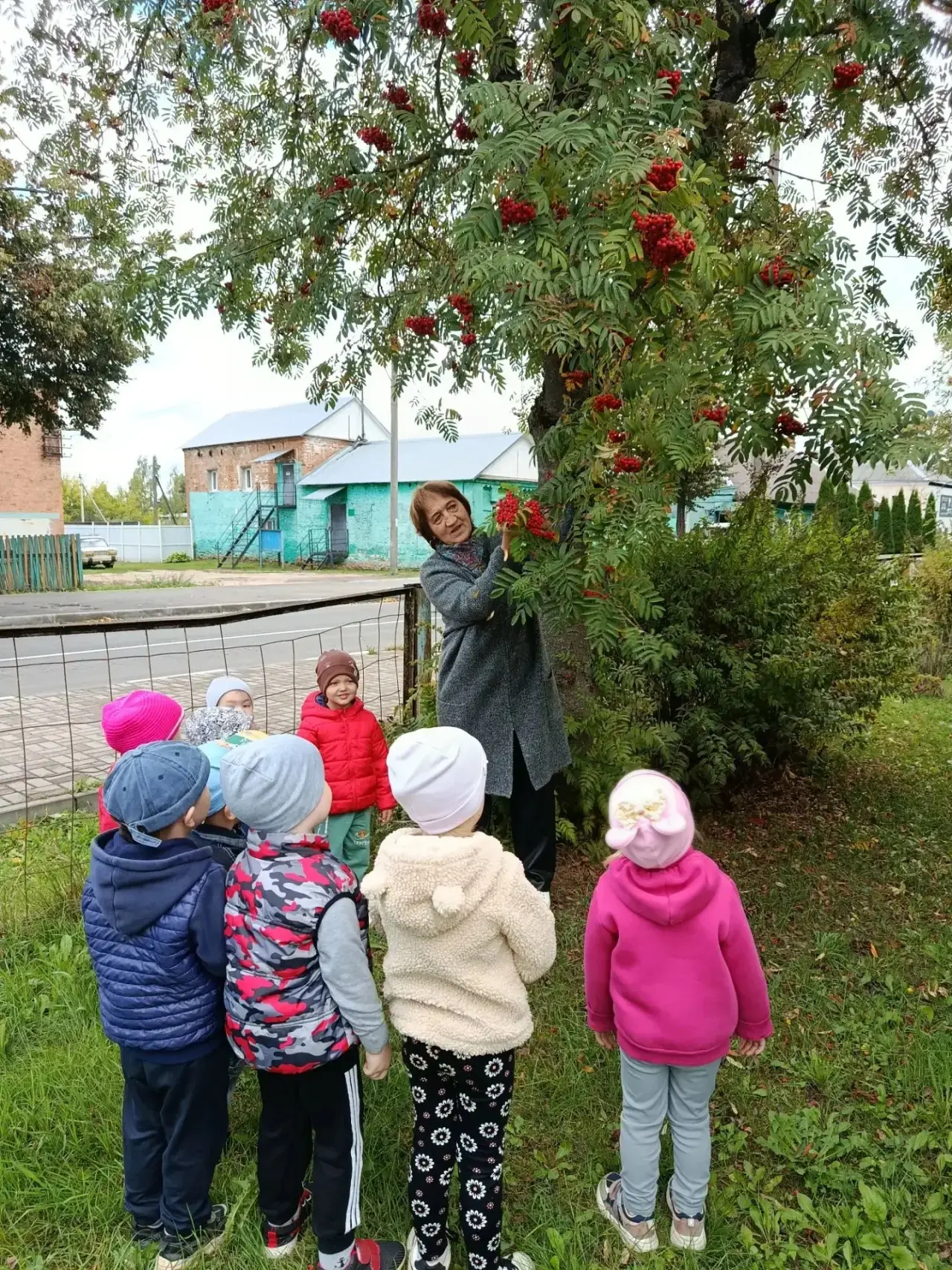🌲✨ Прогулка в гости к рябинке! ✨🌲