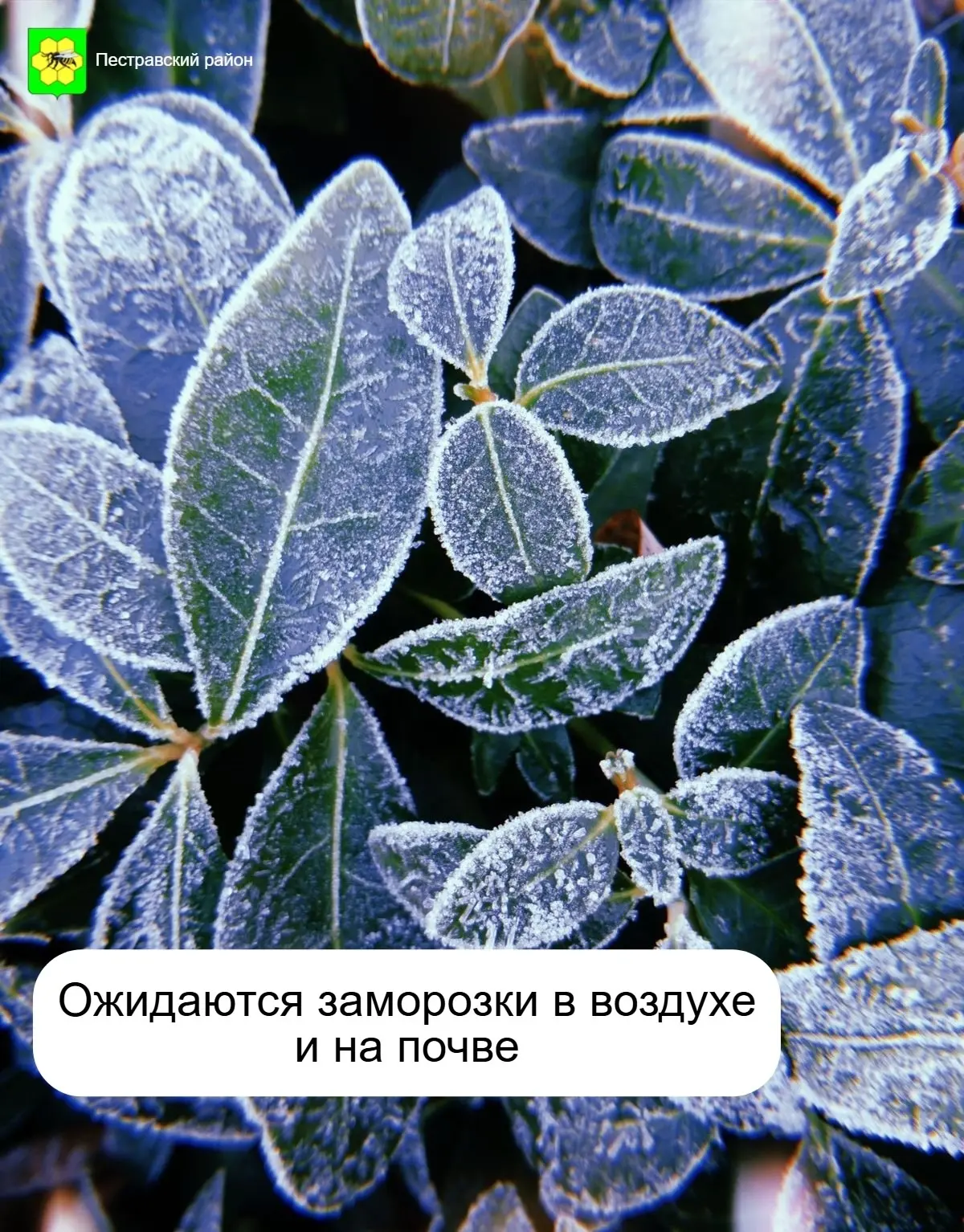 ❗Объявлен оранжевый уровень опасности❗