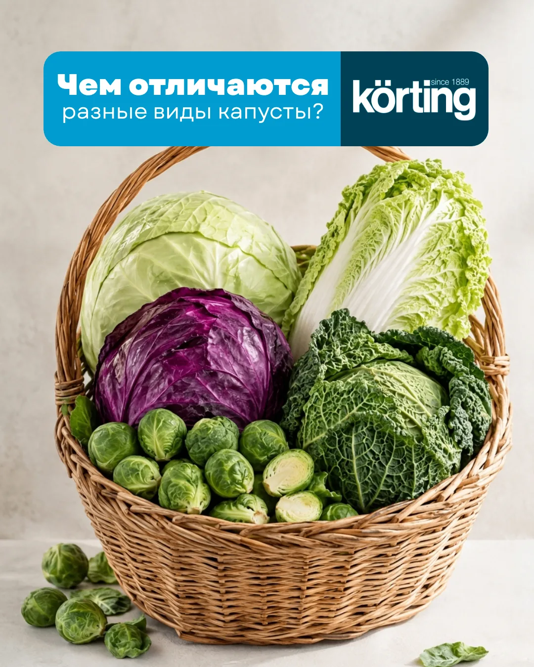 Знали ли вы, что всего существует более 100 видов капусты? Самые распространённые листо...