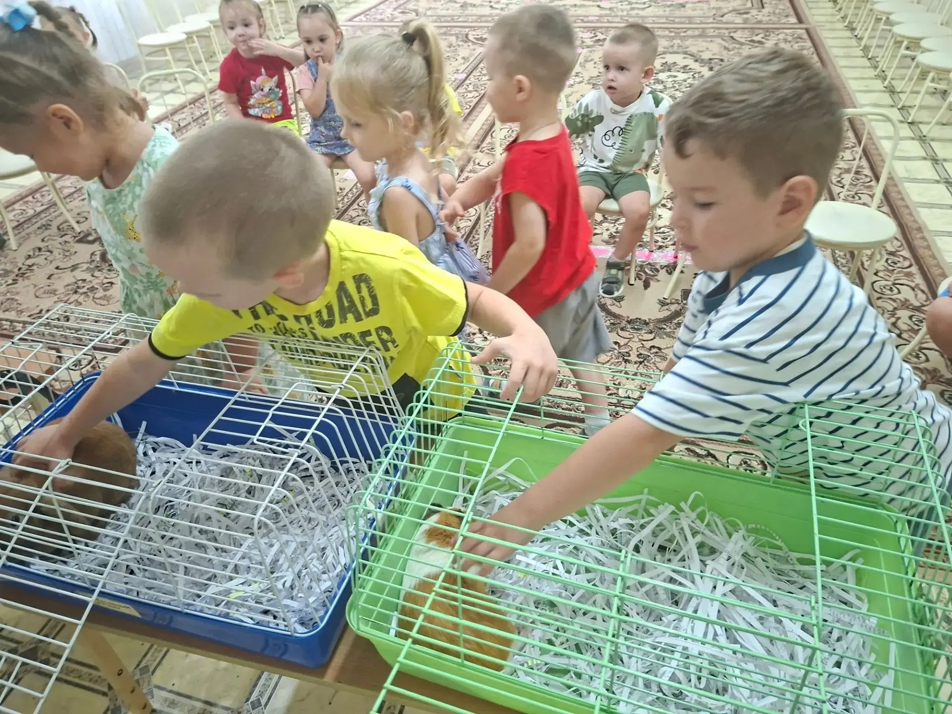 Маленькие шаги в большой мир природы: как прошёл наш экоурок

Сегодня у нас был совершенно особенный