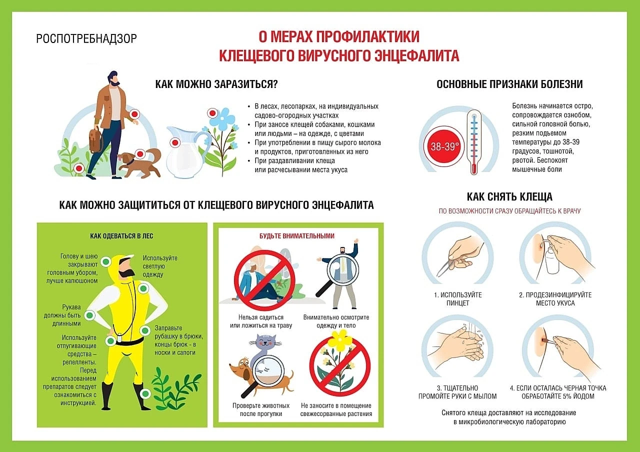 #осторожноКлещи