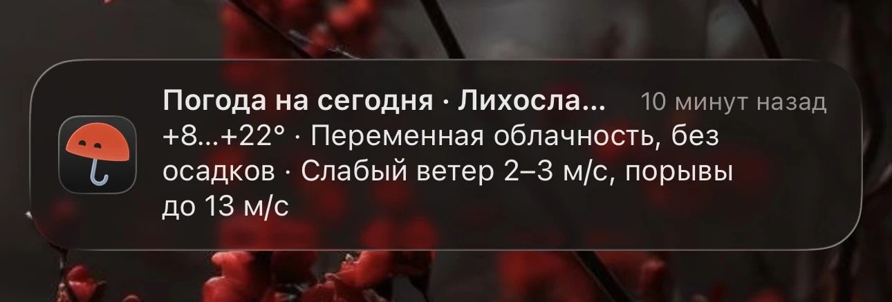 ⛅️ Погода сегодня