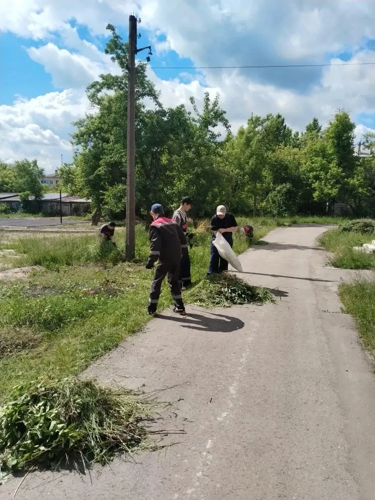 🌪️Сегодня завершилась первая рабочая неделя трудовой бригады «Ураган». День начался с ...