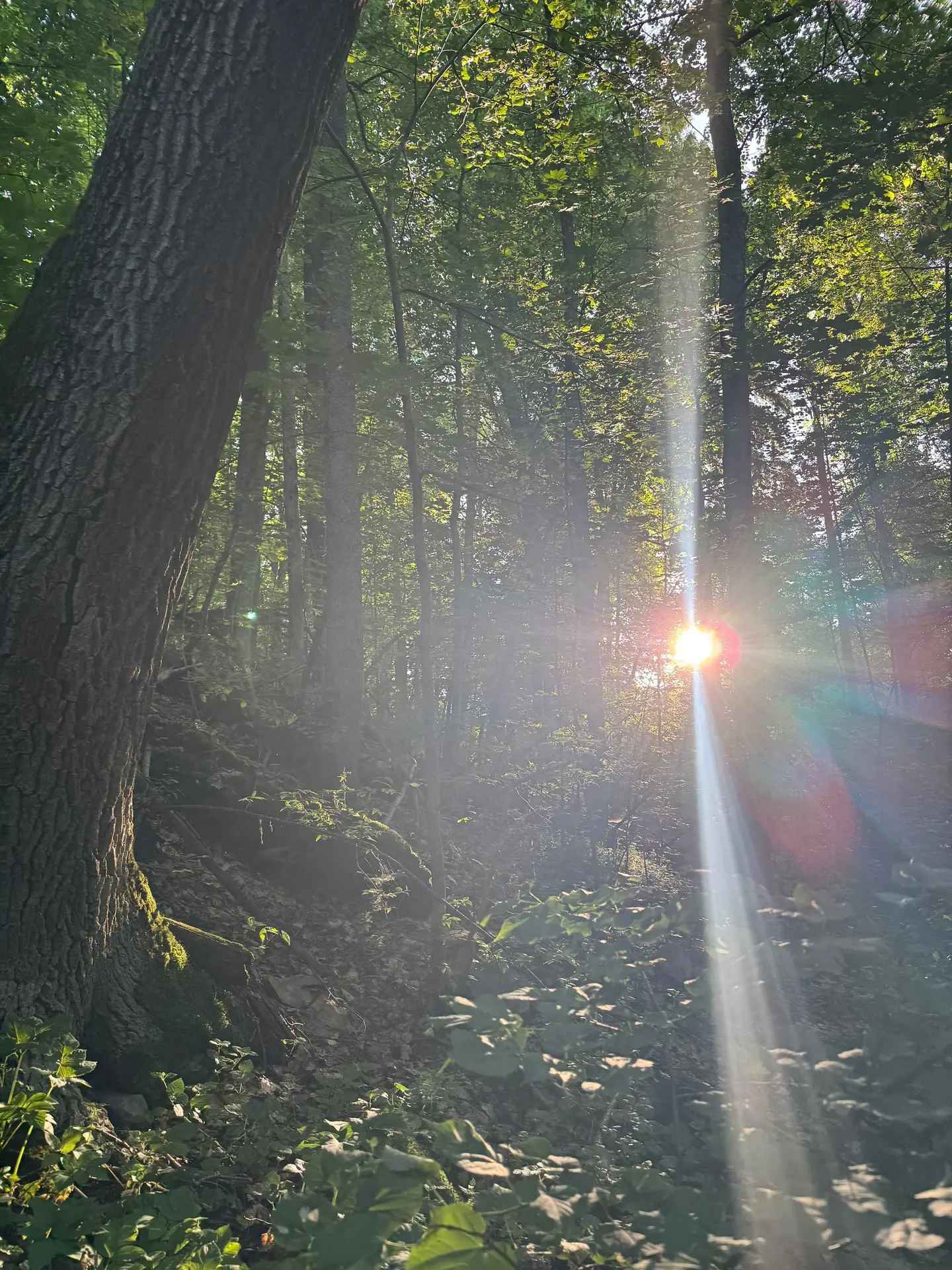 С днем летнего солнцестояния! ☀️
