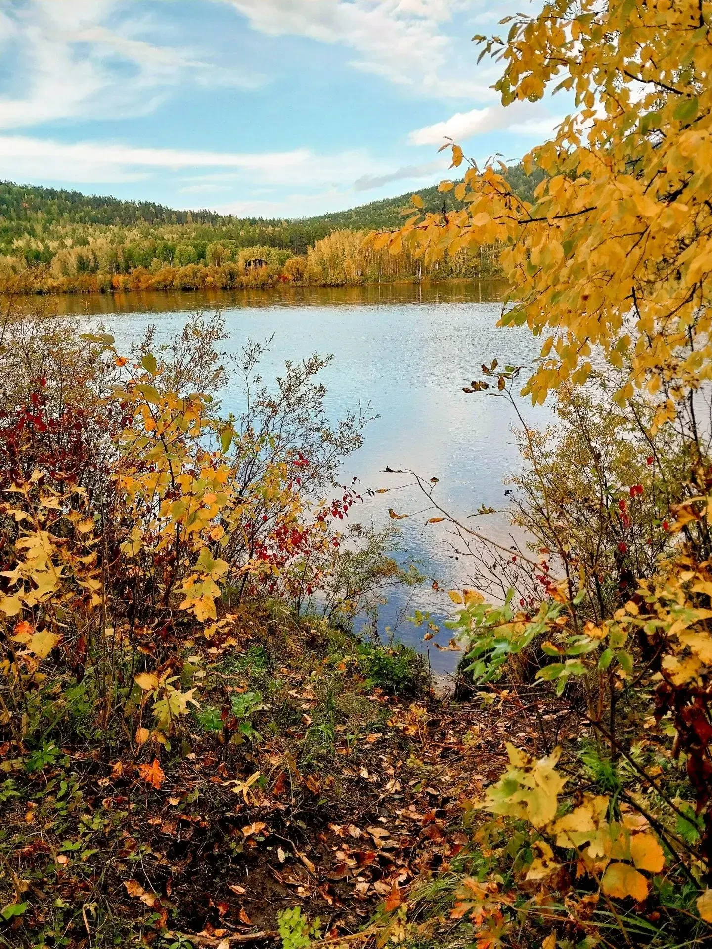 🍁 Номинация: «Волшебный лес»