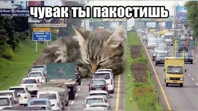 когда надраила всю хату и видишь, как он передвинул хотя бы одну идеально лежащую вещь ...