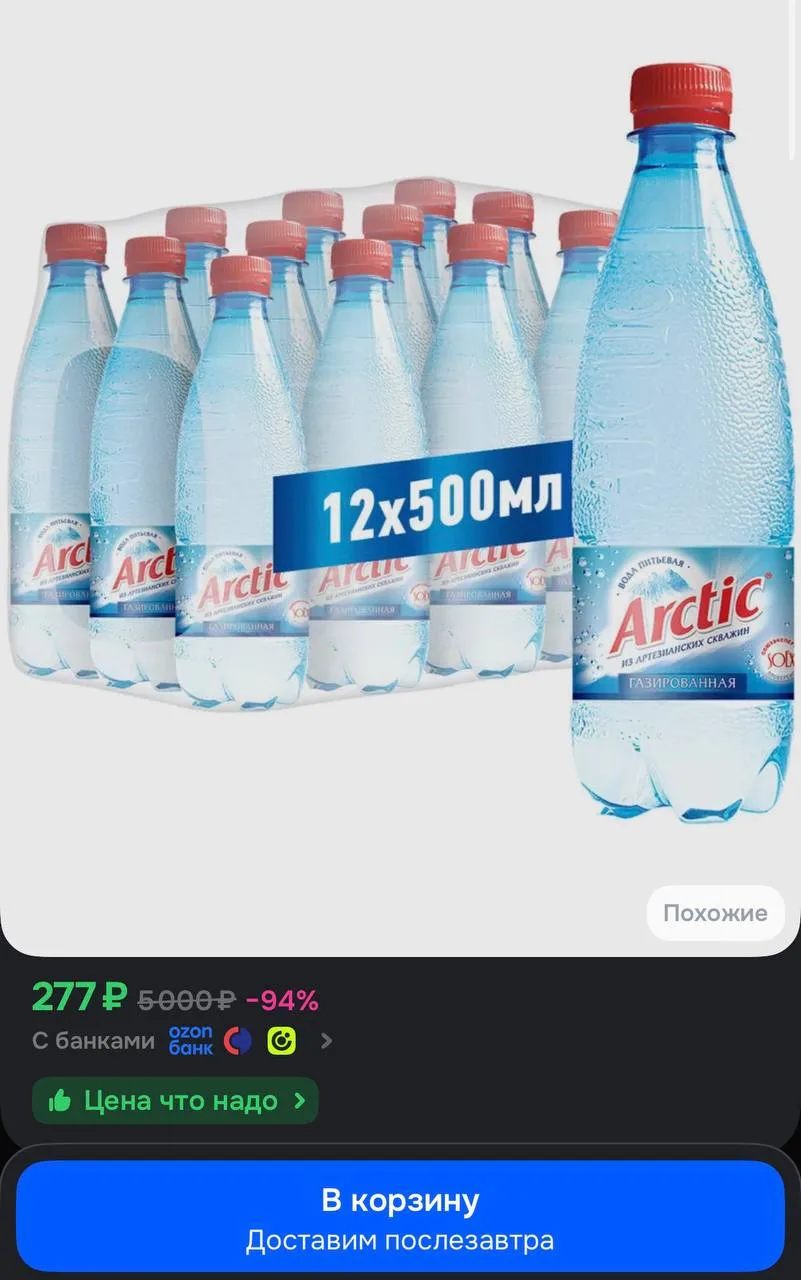 Arctic Вода Питьевая Газированная 500мл. 12шт