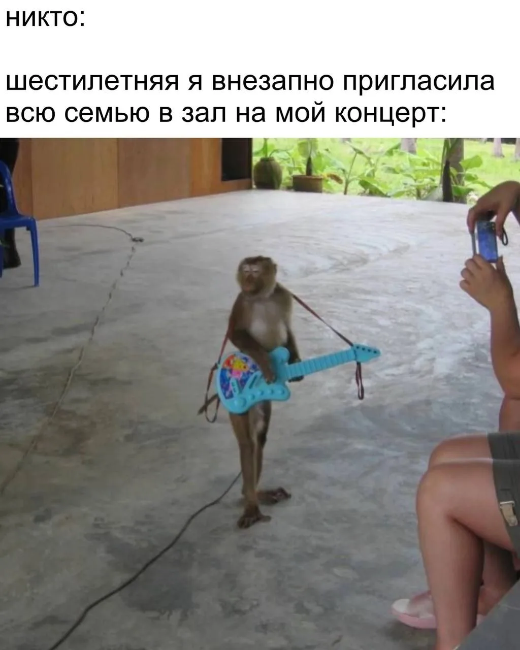 ПЕРВЫЙ МЕМНЫЙ
