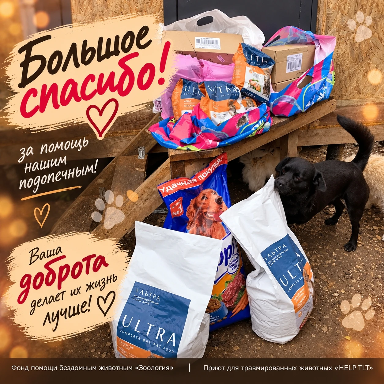 🐾 Друзья, мы часто пишем слова благодарности школам, детским садам, колледжам, предпри...