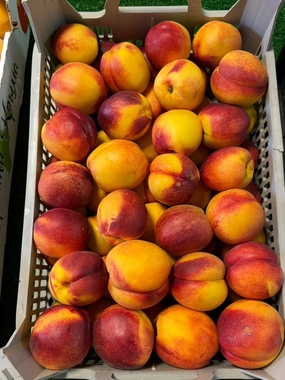 Нектарины ароматные🍑