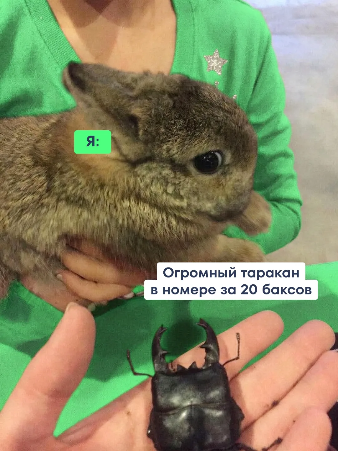 🥹Мы или не мы?