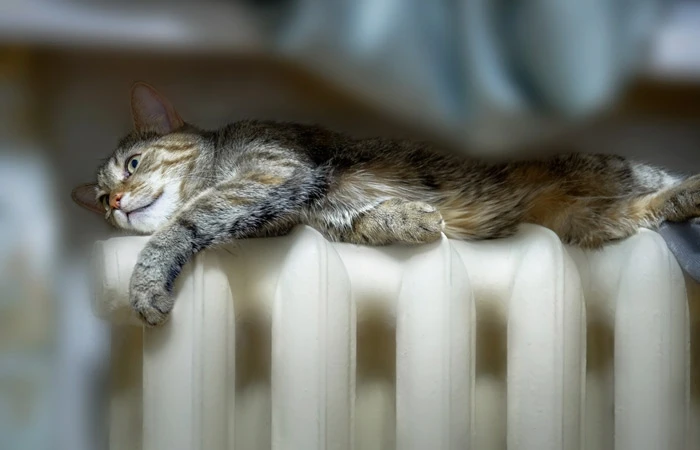В Арзамасе отопительный сезон стартует 16 сентября 👍 🌡️🏠