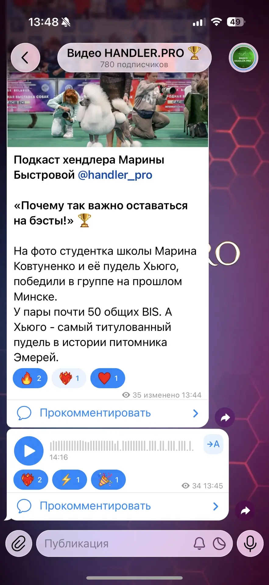 Медиа публикации