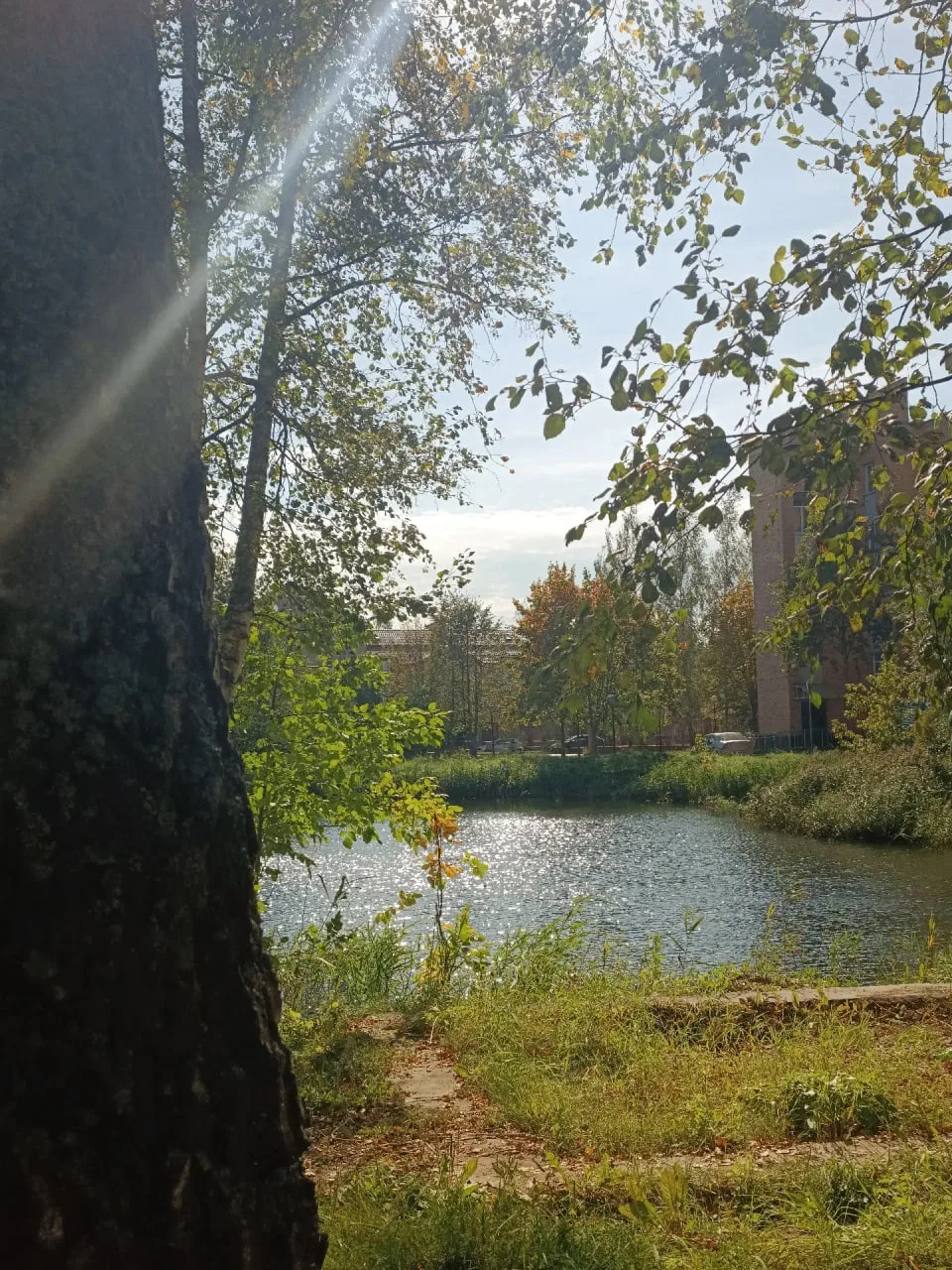 Ура, на календаре пятница 🥳