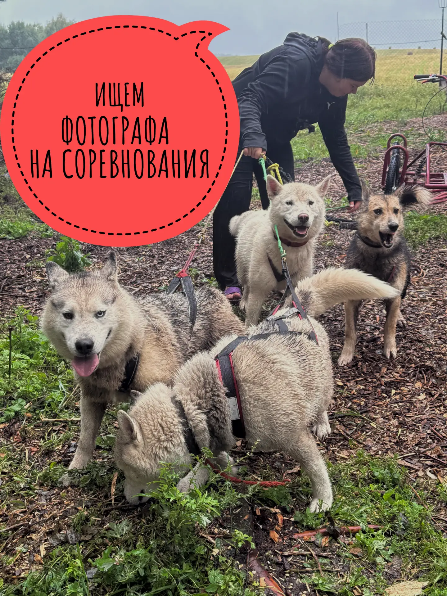 ИЩЕМ ФОТОГРАФА НА СОРЕВНОВАНИЯ!