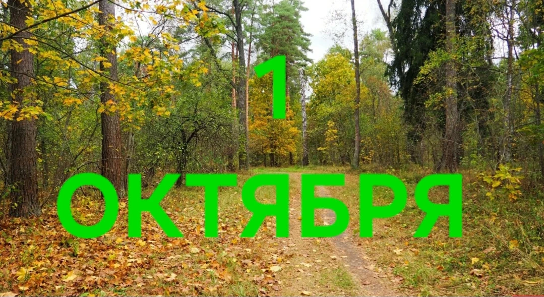 1 Октября: Энергия анализа, целеустремлённости, успеха, знаний и творчества ❤️🤗✍️