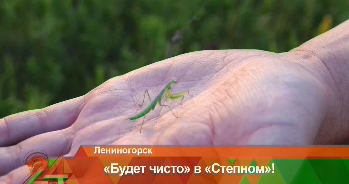 Казанские студенты помогли благоустроить заказник в Лениногорском районе