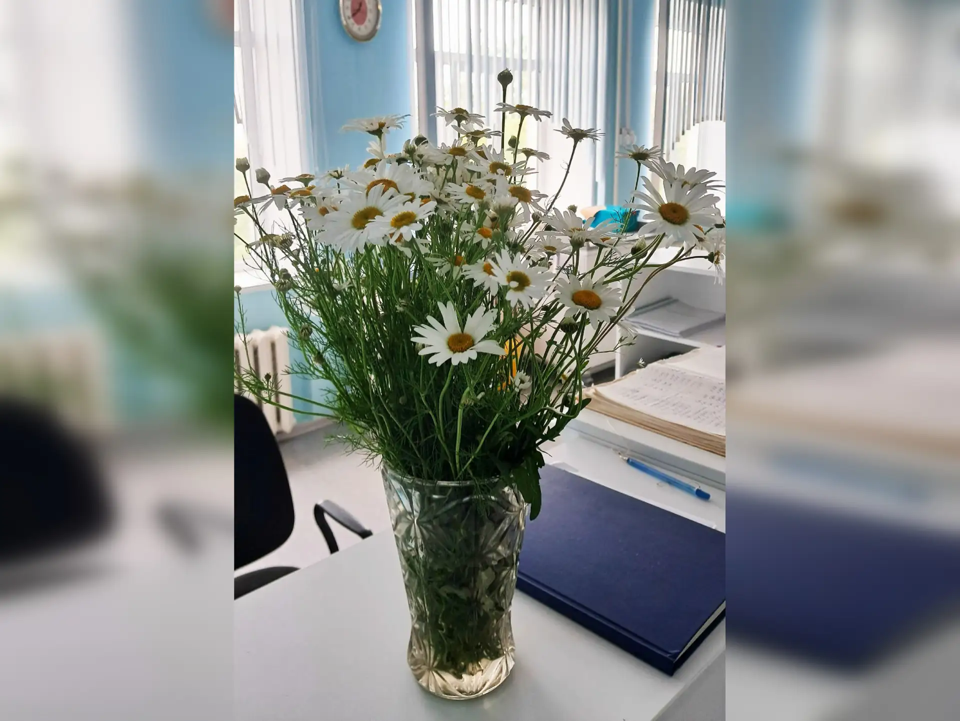 8 июля на сестринском посту появился букет ромашек. Одна медсестра принесла эти простые, но чистые, 