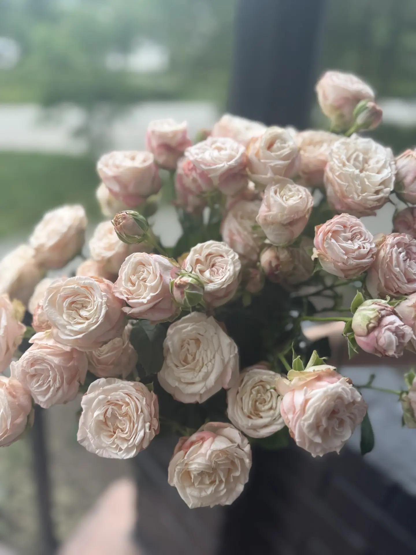 Часть свежего привоза 🌸