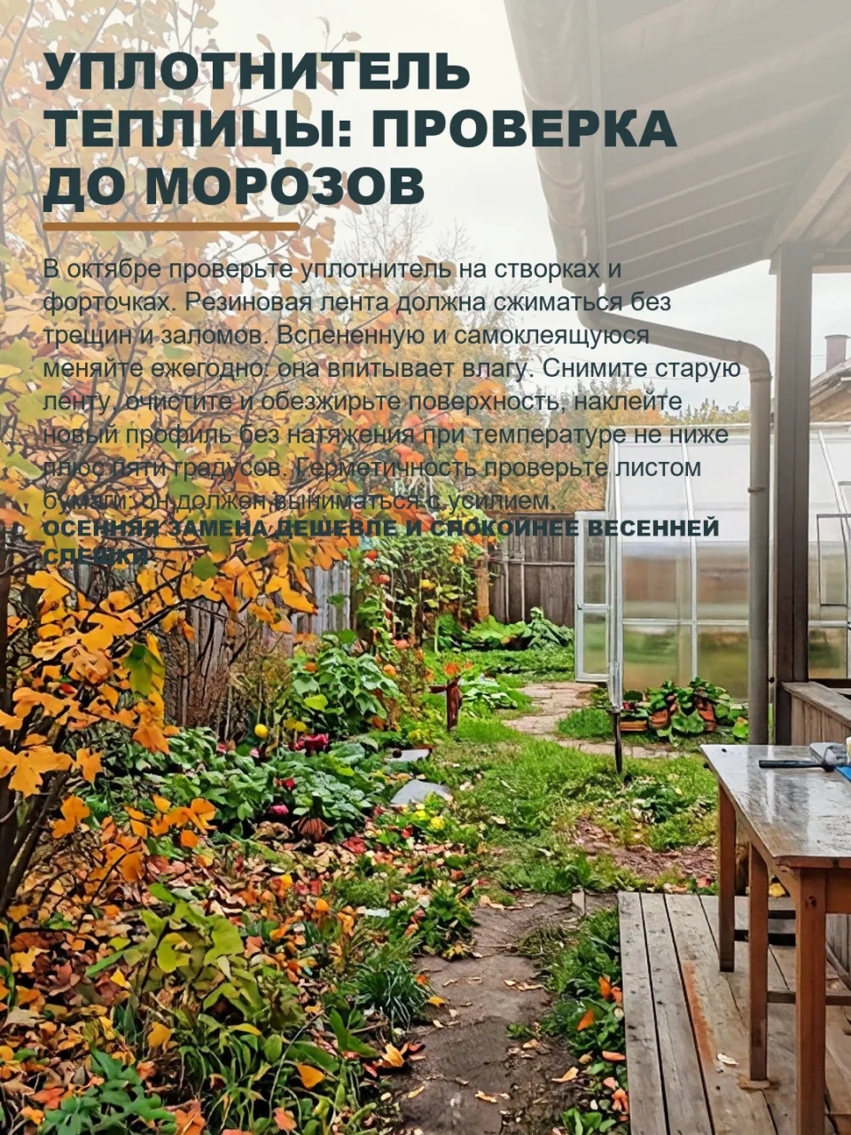 ДО ХОЛОДОВ ПРОВЕРЬТЕ УПЛОТНИТЕЛИ ТЕПЛИЦЫ, ИНАЧЕ ЗИМОЙ ЗАПЛАТИТЕ ДВАЖДЫ