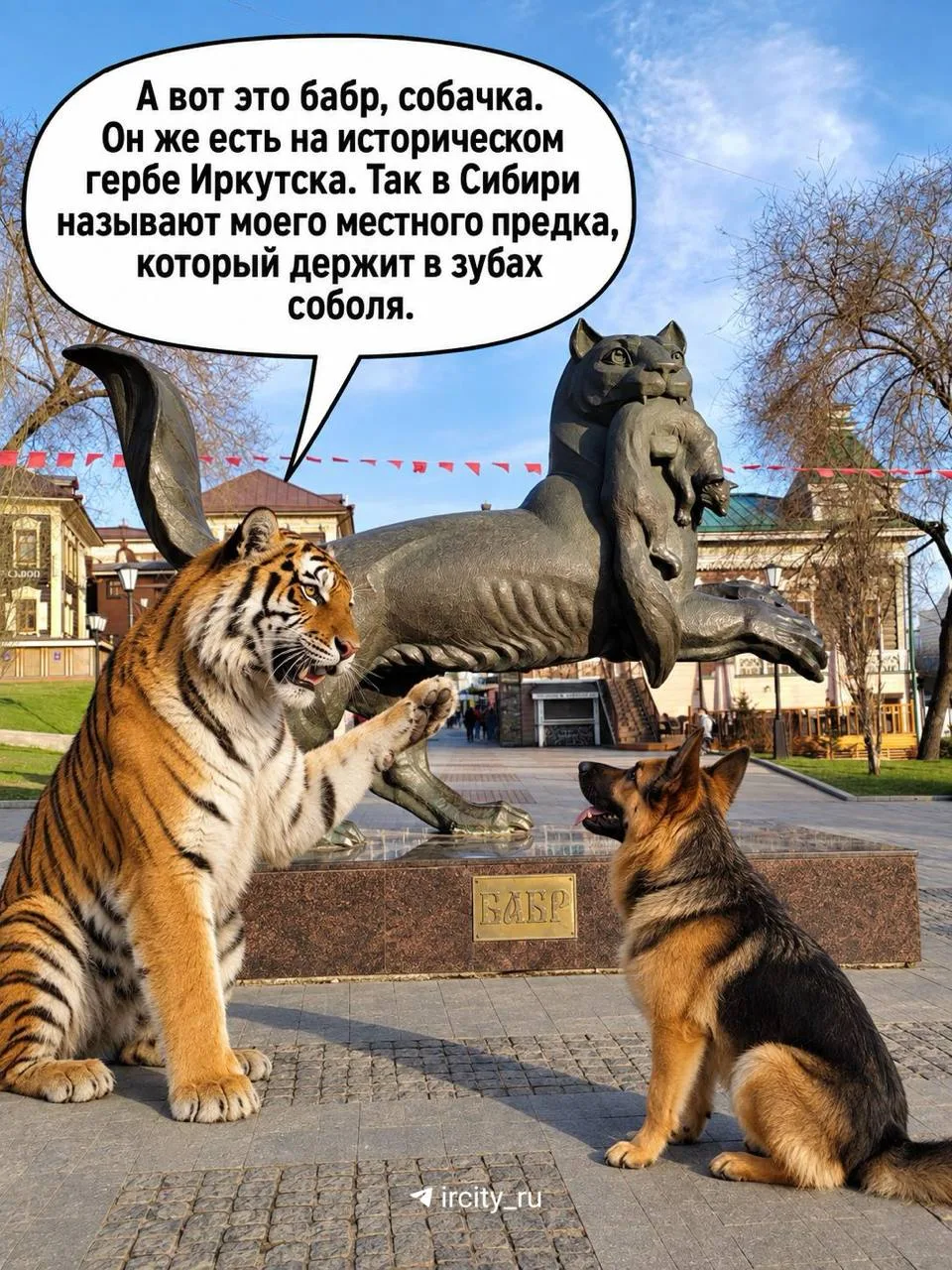 Такие вот дела, собачка!