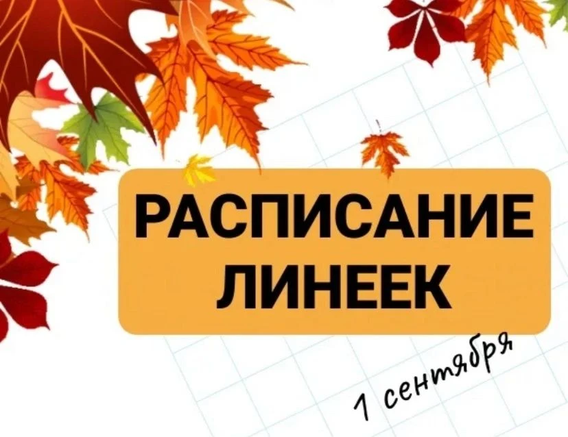 Внимание ❗️Внимание ❗️Внимание ❗️