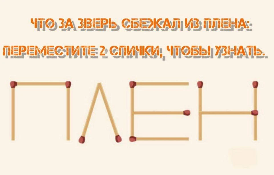 Полезное упражнение.