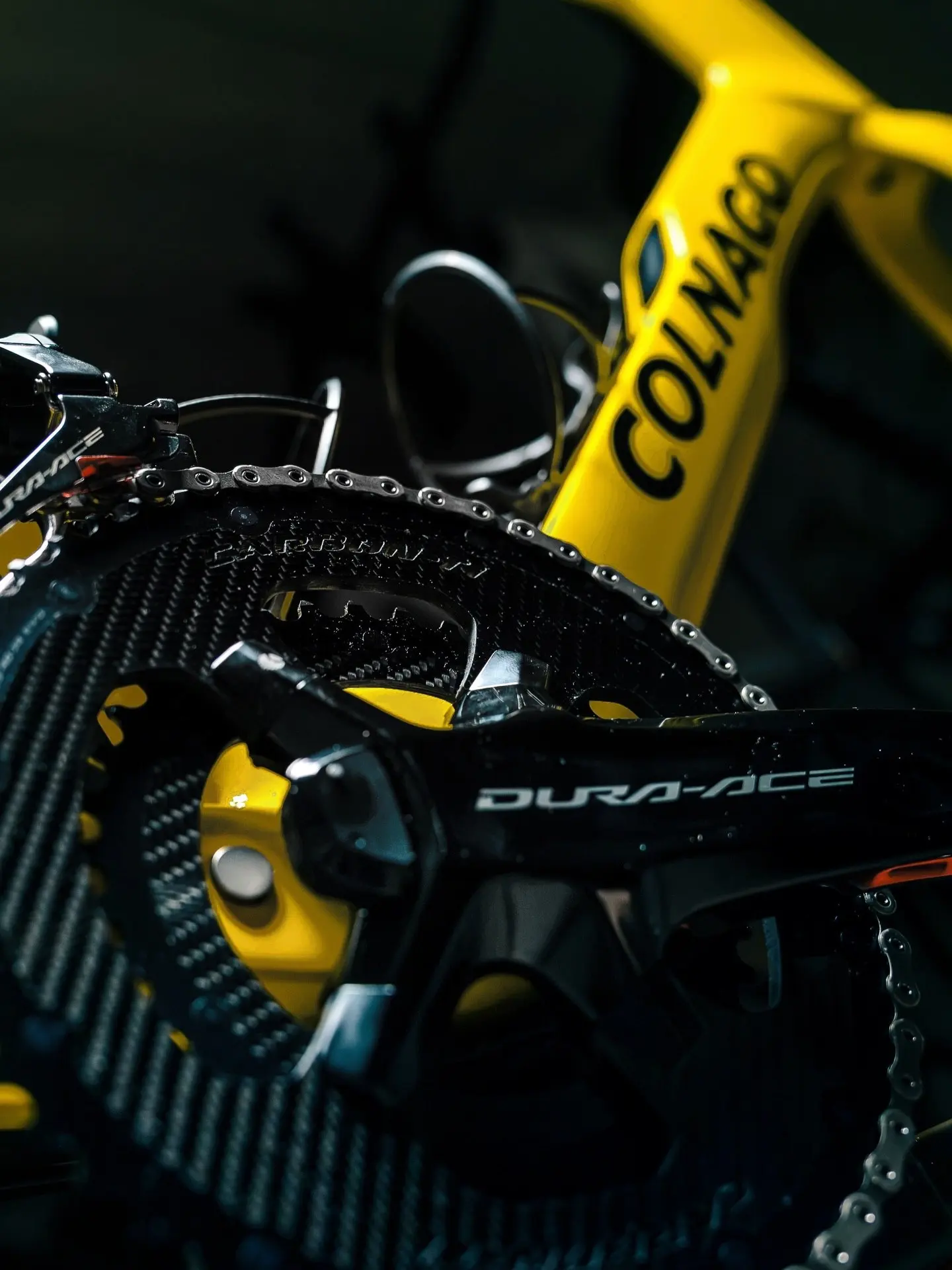 Colnago в цветах победы 🟨 ⬜ ♣️