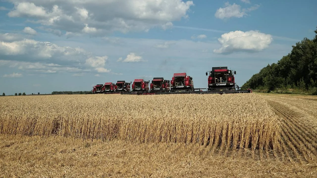 🚜🌾Дали старт уборочной в регионе на полях хозяйства Владимира Евстифеева в Новоспасск...