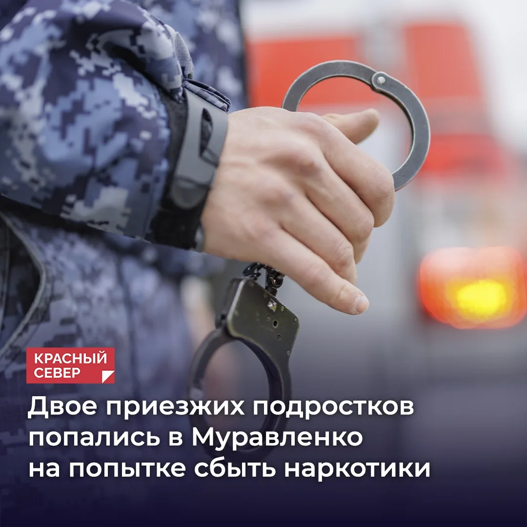 🚨 В Муравленко двое 17-летних жителей Иркутской области стали фигурантами уголовного д...
