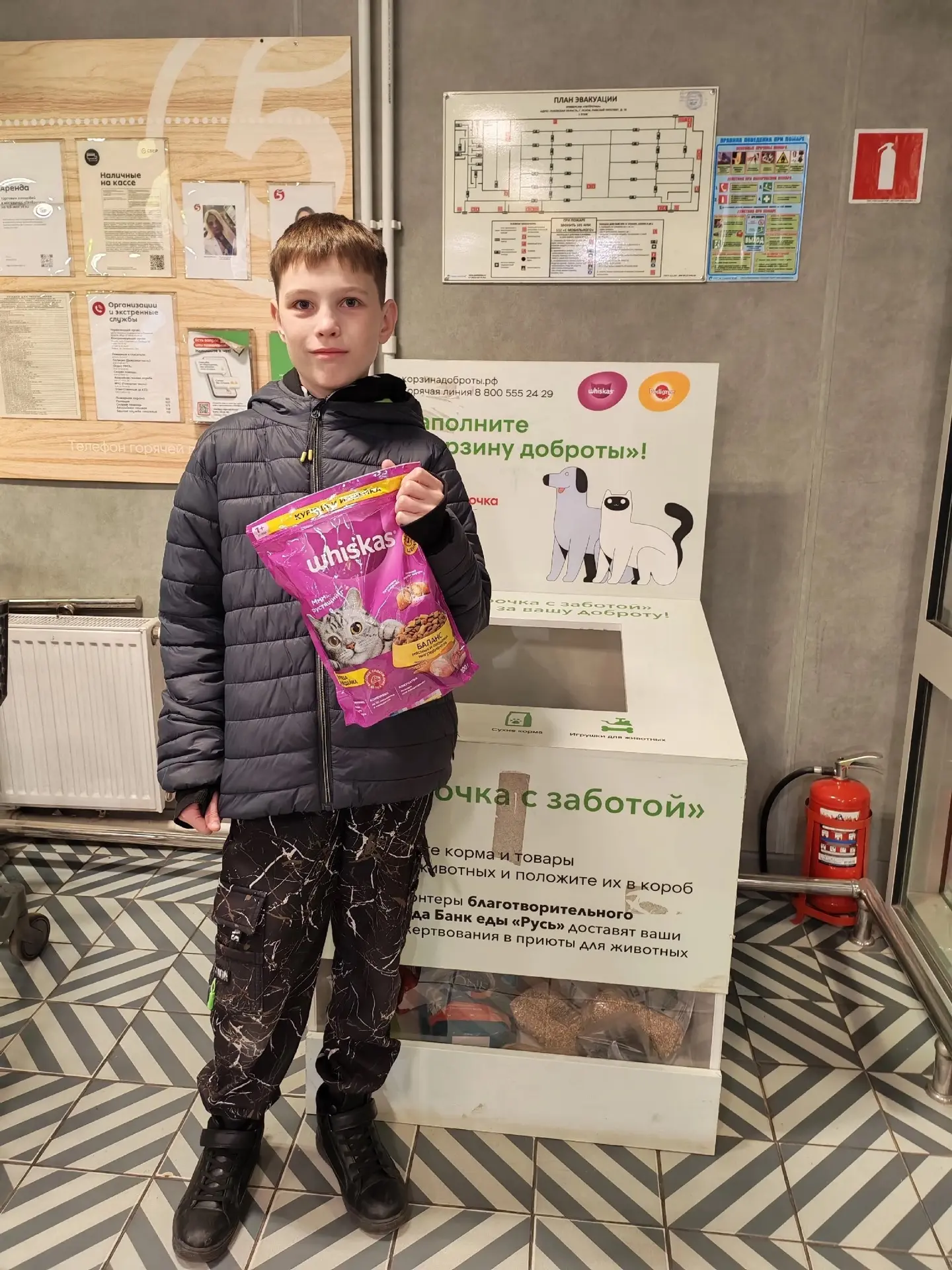 Одни из первых участников нашей «Корзины доброты» 🐾❤️