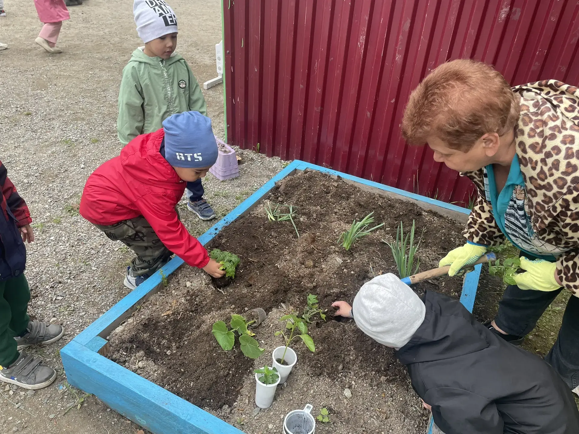 🌱 Высадка рассады в огород на участке во второй младшей группе «Колокольчики»! 🌿👩‍🌾

🌱 Сегодня 