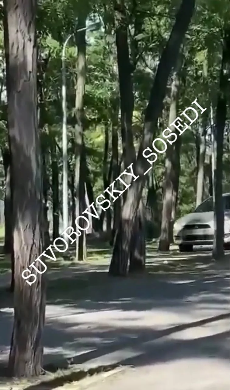 🏙️🏙️🏙️🏙️🏙️

🚔В сети интернет сотрудниками Госавтоинспекции выявлена публикация грубого нарушен