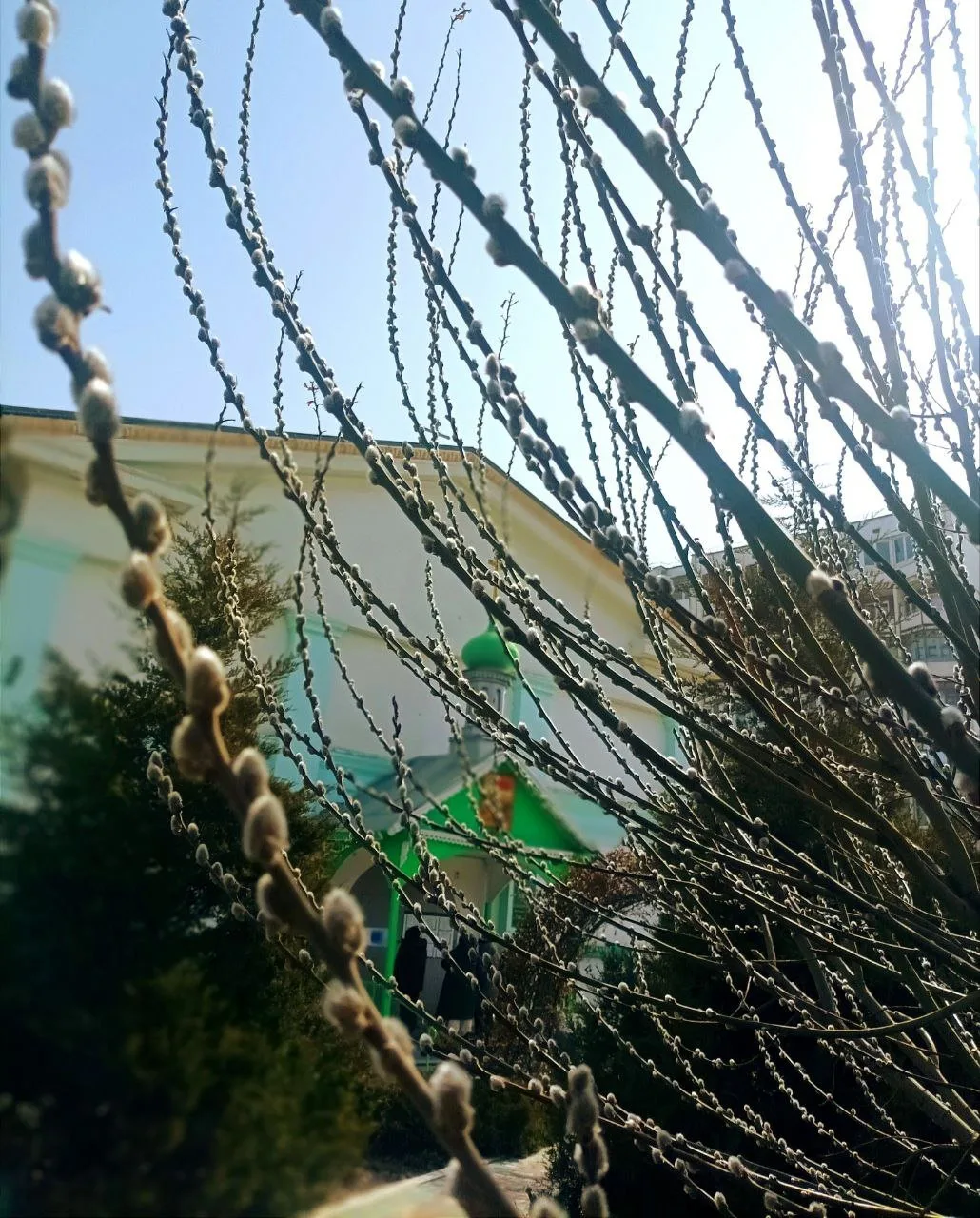 🕊️От всей души поздравляем всех с праздником светлой Пасхи!