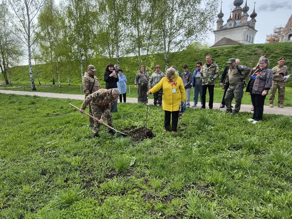 🌳 Акция «Сад памяти» в Юрьев-Польском   Сегодня, в День Победы, администрацией Юрьев-Польского округ