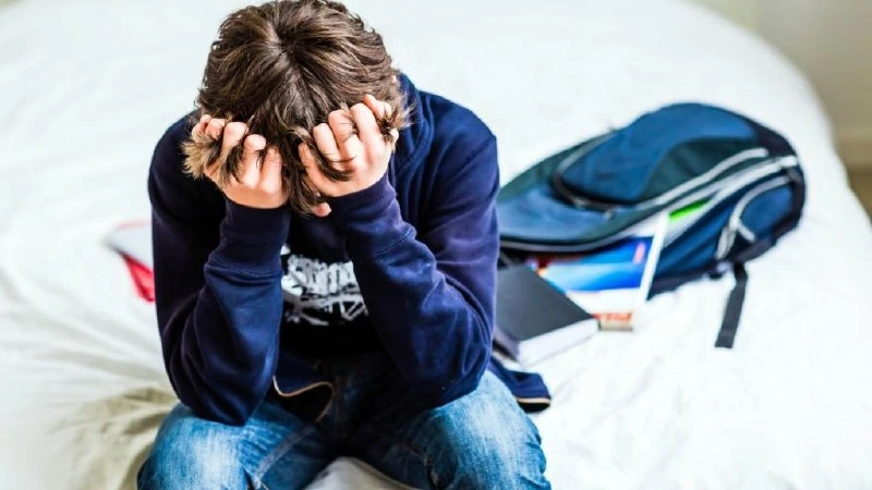 20-летний студент из Майминского района перевел мошенникам сбережения родителей.