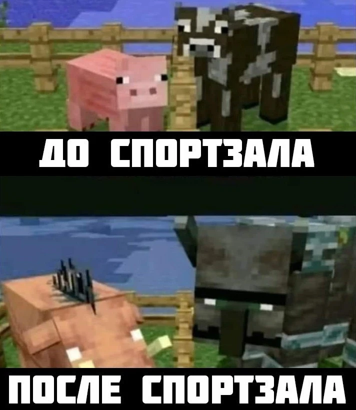 🤣