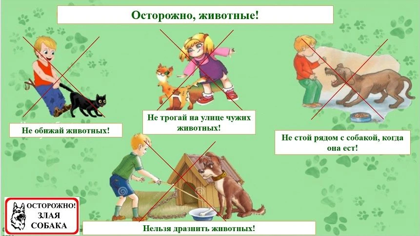 💥Безопасность при общении с животными — важная тема, которая касается как детей, так и взрослых. Он