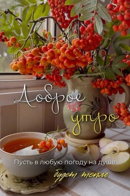 Чудесной погоды в душе и за окном!..