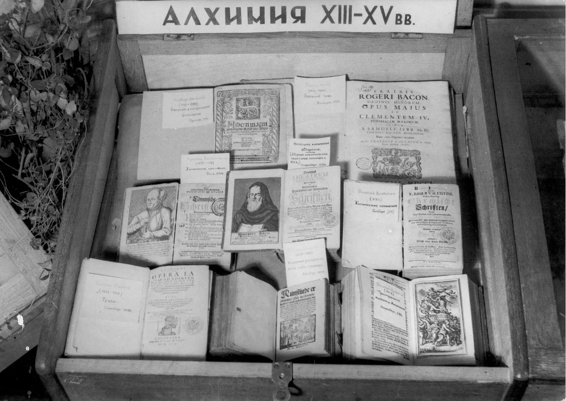 #Архив_СБО
Выставка "Алхимия XIII-XV вв." в библиотеке ЛГУ, б.г.