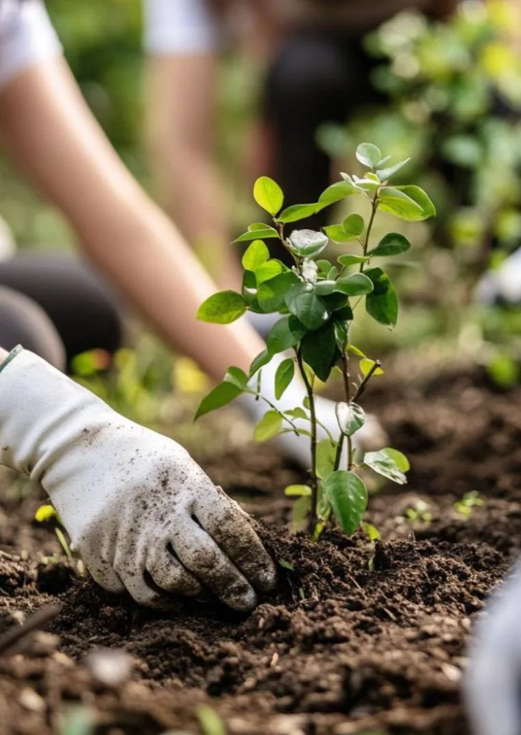 🌿 Фестиваль загородной атмосферы в Столешниках Хаус  🗓 16–17 мая  В программе: пинг-понг, барбекю, в
