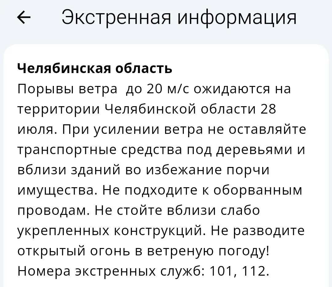 Штормовое предупреждение объявили в Челябинской области. 

28 июля ожидается усиление ветра до 20 м/